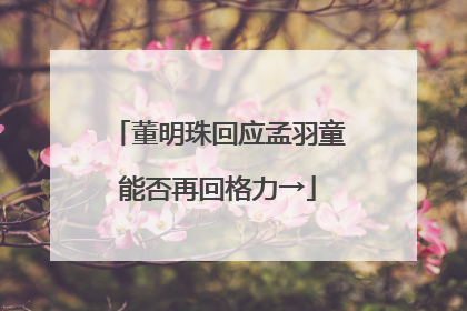 董明珠回应孟羽童能否再回格力→