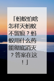 蚂蚁怕啥怎样灭蚂蚁不留痕？蚂蚁用什么药能彻底消灭？答案在这！