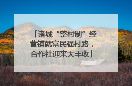 诸城“整村制”经营铺就富民强村路，合作社迎来大丰收
