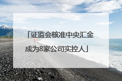 证监会核准中央汇金成为8家公司实控人