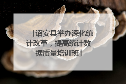 诏安县举办深化统计改革，提高统计数据质量培训班