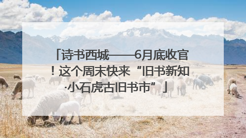诗书西城——6月底收官！这个周末快来“旧书新知·小石虎古旧书市”