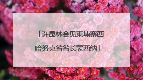 许昆林会见柬埔寨西哈努克省省长蒙西纳