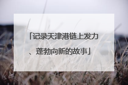记录天津港链上发力、蓬勃向新的故事