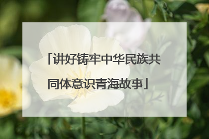讲好铸牢中华民族共同体意识青海故事
