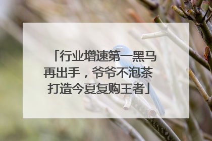 行业增速第一黑马再出手，爷爷不泡茶打造今夏复购王者