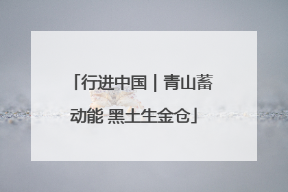 行进中国｜青山蓄动能 黑土生金仓