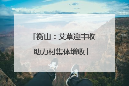 衡山：艾草迎丰收 助力村集体增收