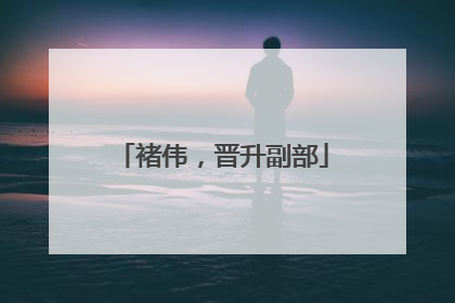 褚伟，晋升副部