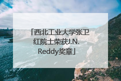 西北工业大学张卫红院士荣获J.N.Reddy奖章
