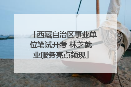 西藏自治区事业单位笔试开考 林芝就业服务亮点频现