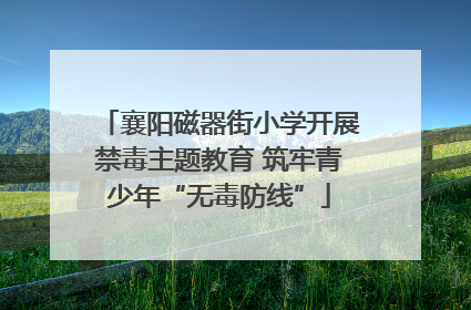 襄阳磁器街小学开展禁毒主题教育 筑牢青少年“无毒防线”