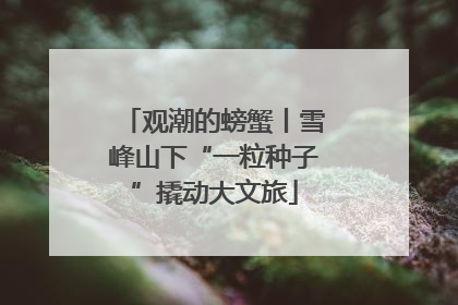 观潮的螃蟹丨雪峰山下“一粒种子”撬动大文旅