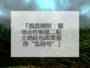 观音阁镇：屋场会吹响第二轮土地延包政策宣传“集结号”