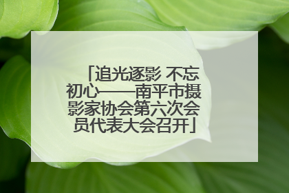 追光逐影 不忘初心——南平市摄影家协会第六次会员代表大会召开