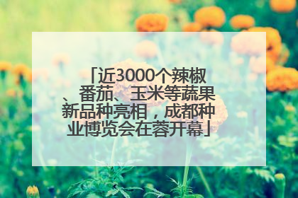 近3000个辣椒、番茄、玉米等蔬果新品种亮相，成都种业博览会在蓉开幕