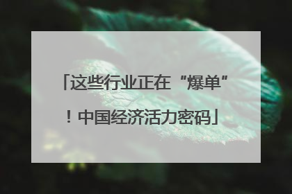 这些行业正在“爆单”！中国经济活力密码