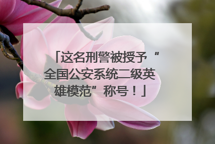 这名刑警被授予“全国公安系统二级英雄模范”称号！