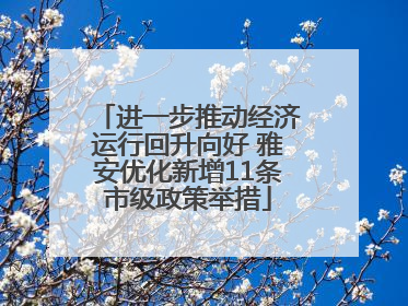 进一步推动经济运行回升向好 雅安优化新增11条市级政策举措