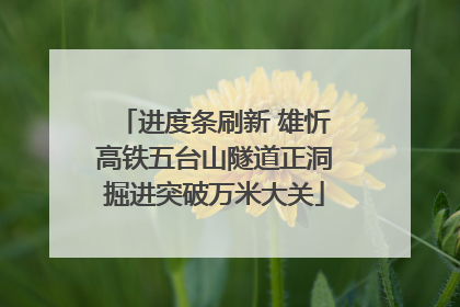 进度条刷新 雄忻高铁五台山隧道正洞掘进突破万米大关