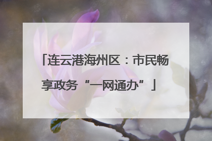 连云港海州区：市民畅享政务“一网通办”