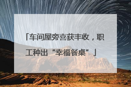 车间屋旁喜获丰收，职工种出“幸福餐桌”