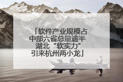 软件产业规模占中部六省总量逾半 湖北“软实力”引来杭州两小龙