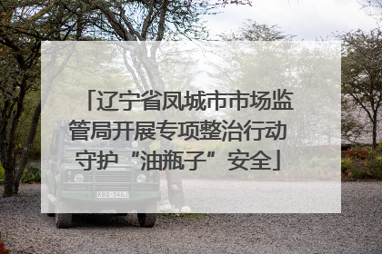 辽宁省凤城市市场监管局开展专项整治行动守护“油瓶子”安全