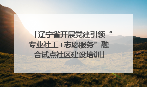 辽宁省开展党建引领“专业社工+志愿服务”融合试点社区建设培训