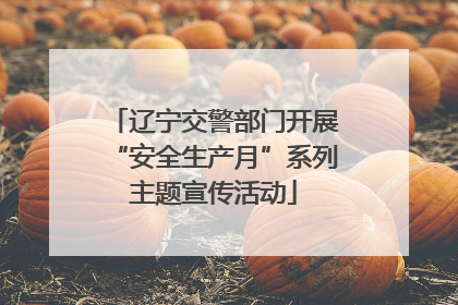 辽宁交警部门开展“安全生产月”系列主题宣传活动