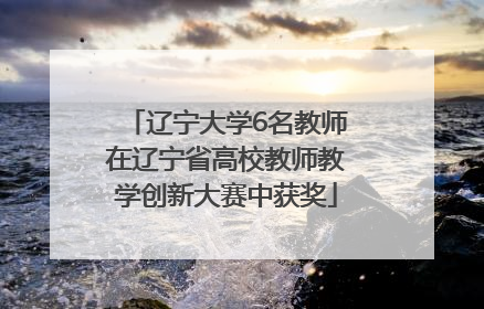 辽宁大学6名教师在辽宁省高校教师教学创新大赛中获奖
