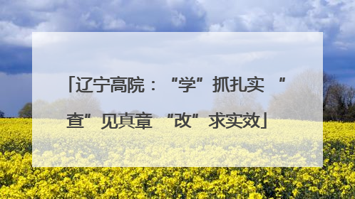 辽宁高院：“学”抓扎实 “查”见真章 “改”求实效
