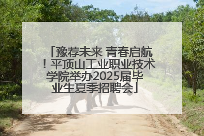 豫荐未来 青春启航！平顶山工业职业技术学院举办2025届毕业生夏季招聘会