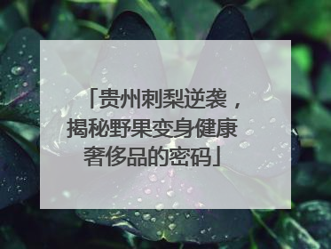 贵州刺梨逆袭，揭秘野果变身健康奢侈品的密码