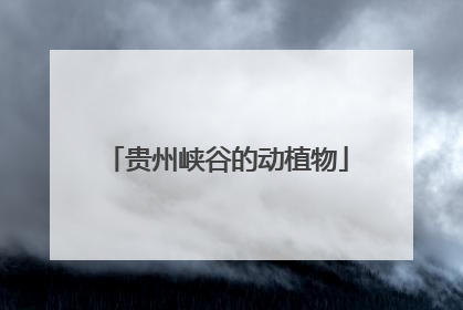 贵州峡谷的动植物