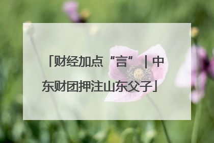 财经加点“言”｜中东财团押注山东父子