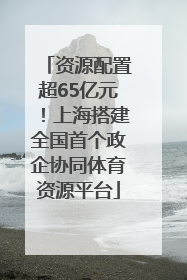 资源配置超65亿元！上海搭建全国首个政企协同体育资源平台