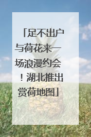 足不出户与荷花来一场浪漫约会！湖北推出赏荷地图
