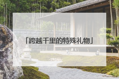 跨越千里的特殊礼物