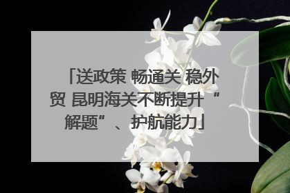 送政策 畅通关 稳外贸 昆明海关不断提升“解题”、护航能力
