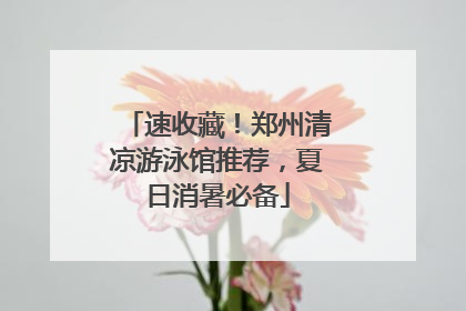 速收藏！郑州清凉游泳馆推荐，夏日消暑必备