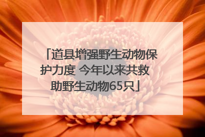 道县增强野生动物保护力度 今年以来共救助野生动物65只