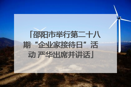 邵阳市举行第二十八期“企业家接待日”活动 严华出席并讲话