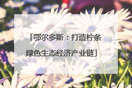 鄂尔多斯：打造柠条绿色生态经济产业链
