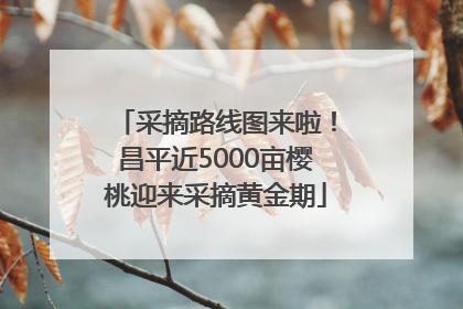 采摘路线图来啦！昌平近5000亩樱桃迎来采摘黄金期