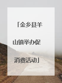 金乡县羊山镇举办促消费活动