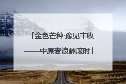 金色芒种·豫见丰收——中原麦浪翻滚时
