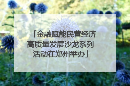 金融赋能民营经济高质量发展沙龙系列活动在郑州举办