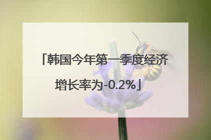 韩国今年第一季度经济增长率为-0.2%