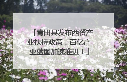青田县发布西餐产业扶持政策，百亿产业蓝图加速推进！